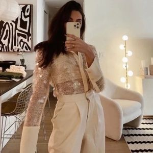 ZARA Semi-Sheet Sequined Button Blouse